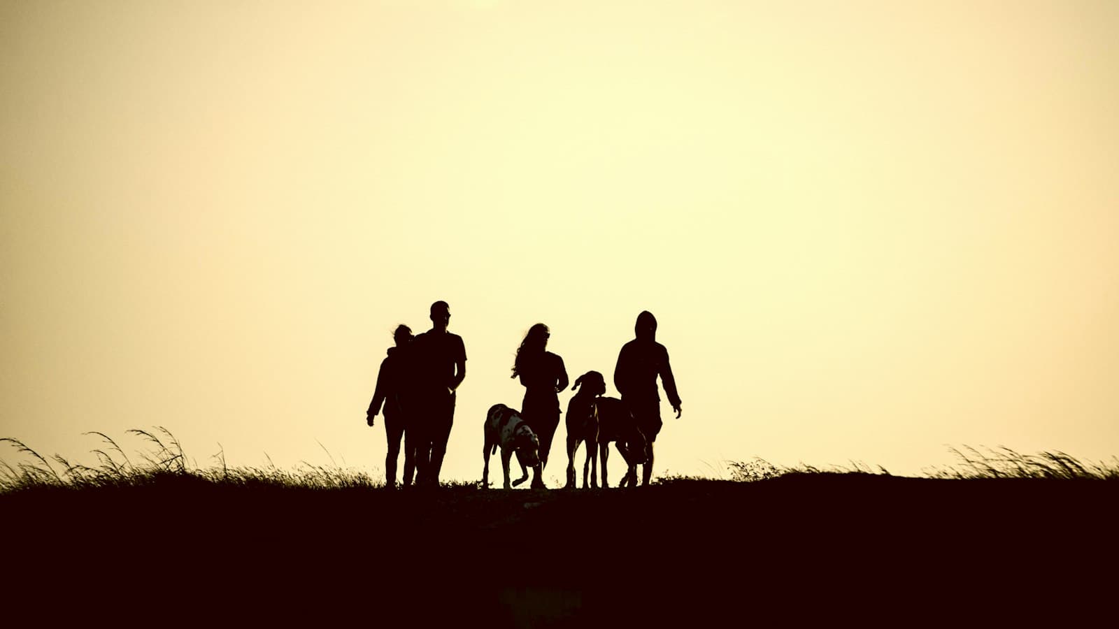 A family enjoying the sunset together